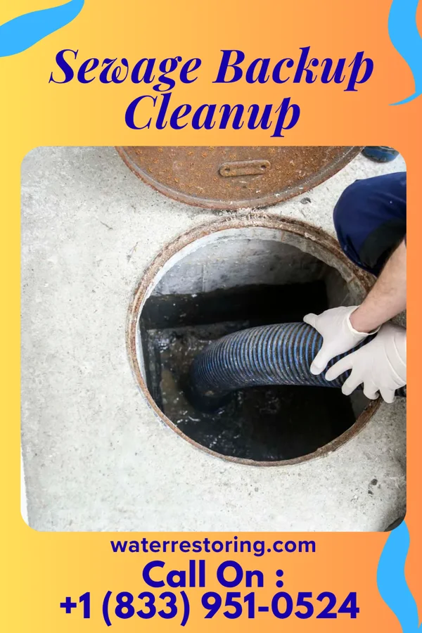 Sewage Backup Cleanup in Streetsboro, OH