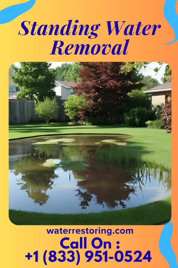 Standing Water Removal in Streetsboro, OH